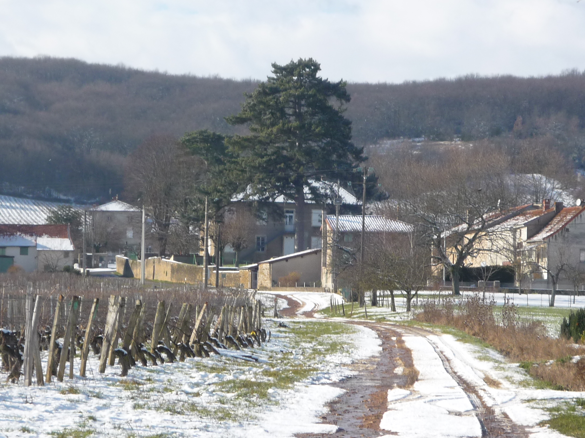 LA COLO SOUS LA NEIGE