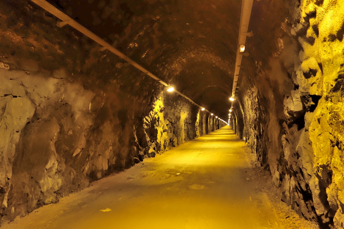 TUNNEL DU BOIS CLAIR