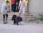août 2003 2004 2005